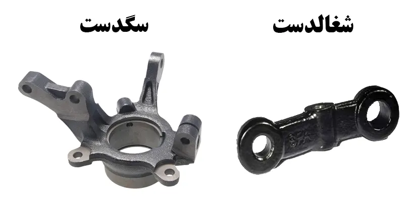 فرق سگدست و شغالدست